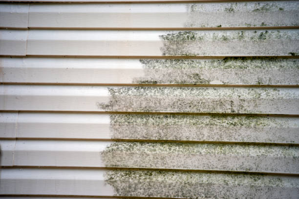 Affordable Siding Repair and Maintenance Services in Landen, OH